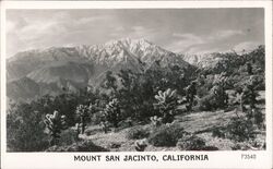 Mount San Jacinto Postcard