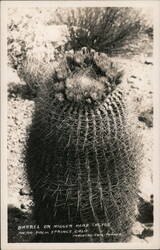 Derogatory: Barrel Of Nigger Head Cactus Palm Springs, CA Postcard Postcard Postcard