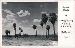 Desert Clouds at Twenty Nine Palms Postcard