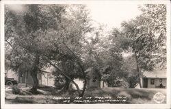 Cabins at 29 Palms Inn Postcard