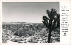 The Desert Town of Joshua Tree California Postcard Postcard Postcard