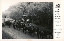 The 20 Mule Team Passing Wildrose Station Death Valley, CA Postcard Postcard Postcard