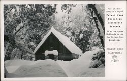 Forest Home Christian Conference Grounds California Postcard Postcard Postcard