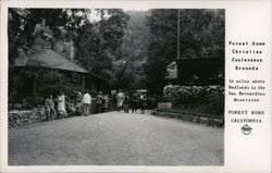 Forest Home Christian Conference Grounds California Postcard Postcard Postcard