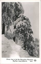 Winter Time in the San Bernadino Mountains Big Bear Lake, CA Postcard Postcard Postcard