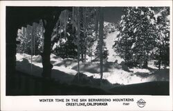 Winter Time in the San Bernardino Mountains Postcard