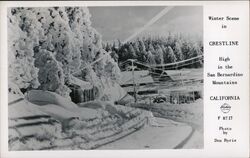 Winter in Crestline - High in the San Bernardino Mountains Postcard