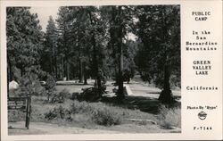 Public Camp in San Bernardino Mountains Postcard