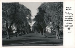 Euclid Avenue Ontario, CA Postcard Postcard Postcard