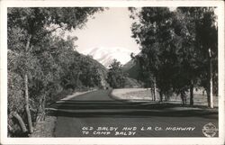 Old Baldy and LA CO. Highway to Camp Baldy California Postcard Postcard Postcard