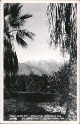 Old Baldy Palms Postcard