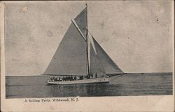 A Sailing Party, Wildwood, NJ Postcard