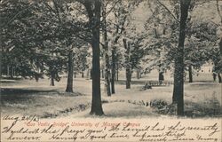 Quo Vadis Bridge, University of Missouri Postcard