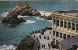 Seal Rocks from the Cliff House Postcard