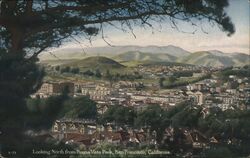 Looking North from Buena Vista Park Postcard