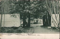 Tents at Eaglenest Postcard