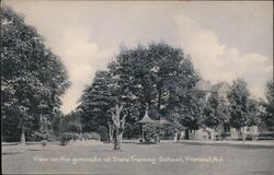 View on the Grounds of State Training School Vineland, NJ Postcard Postcard Postcard