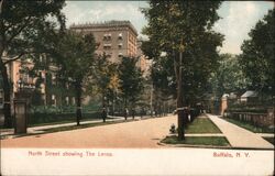 North Street showing The Lenox, Buffalo Postcard