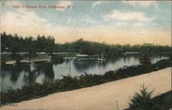 Lake in Seneca Park, Rochester New York Postcard Postcard Postcard