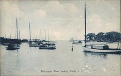 Patchogue River Looking South Postcard