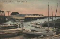 Schellinger's Landing, Cape May Postcard