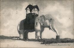 The Elephant, Atlantic City Postcard