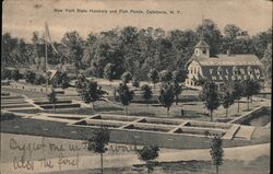 New York State Fish Hatchery and Ponds, Caledonia, NY Postcard Postcard Postcard