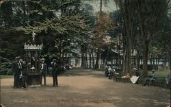 Congress Spring Park, Saratoga Springs Postcard