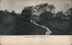 Babbling Brook, Lebanon, NJ Postcard