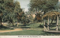 Meadow Brook Park San Bernardino, CA Postcard Postcard Postcard