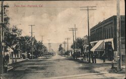 Palm Ave., Highland, Cal. Postcard