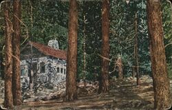 The Lodge, Pinecrest, Little Bear Valley Postcard