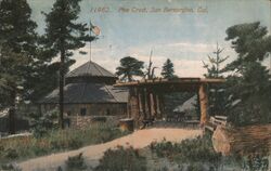 Pine Crest, San Bernardino California Postcard Postcard Postcard