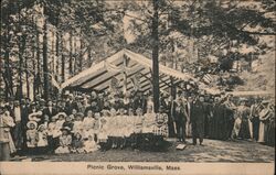 Picnic Grove Williamsville, MA Postcard Postcard Postcard