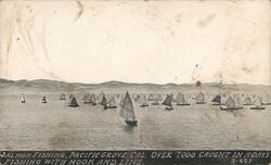 Salmon Fishing, Pacific Grove California Postcard Postcard Postcard