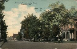 Riverside Avenue, Evansville Postcard