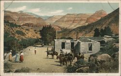 A Stop at the Indian Gardens, Grand Canyon National Park Postcard