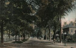 Broadway Looking North, Norwich Postcard