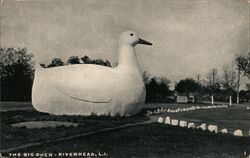 The Big Duck, Riverhead, L.I. Postcard