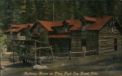 Halfway House on Pikes Peak Cog Road Postcard