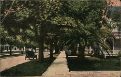 Seventh Avenue, Tampa Heights Postcard