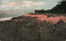 The Palisades, Santa Monica Postcard