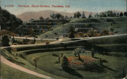 Terraces, Busch Gardens, Pasadena Postcard