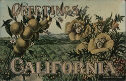 Greetings from California A. Penslen Postcard Postcard Postcard