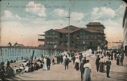 Auditorium and Ocean Front, Ocean Park California Postcard Postcard Postcard