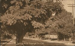 Residence St., Santa Ana Postcard