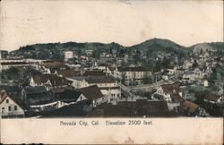 Nevada City, Cal. Postcard