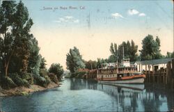 Scene on Napa River Postcard