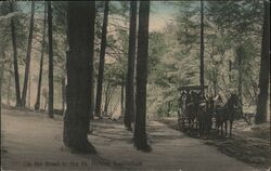 On the Road to St. Helena Sanitarium Postcard