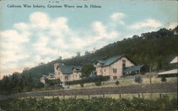 Greystone Winery near St. Helena Postcard